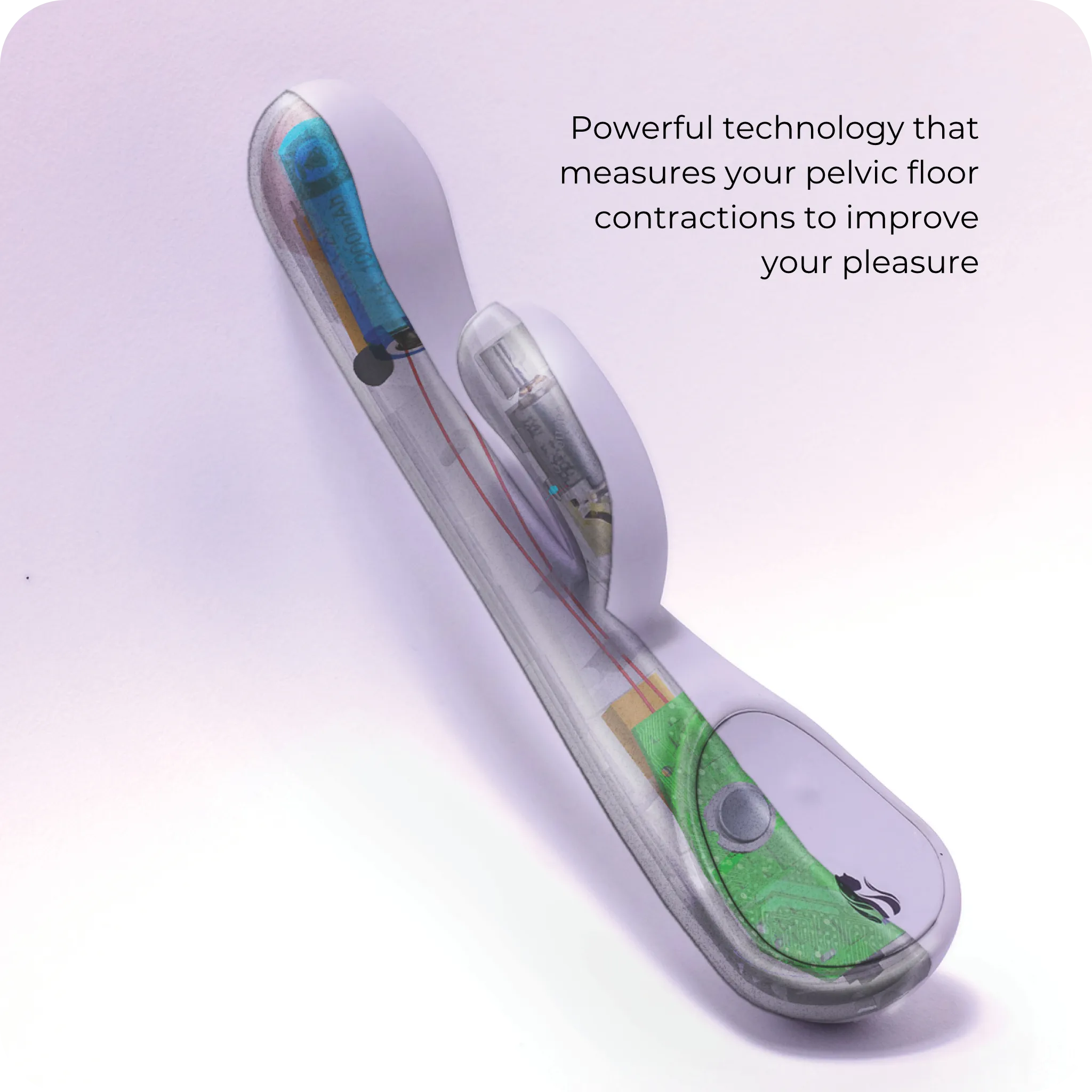 Lioness Smart Vibrator