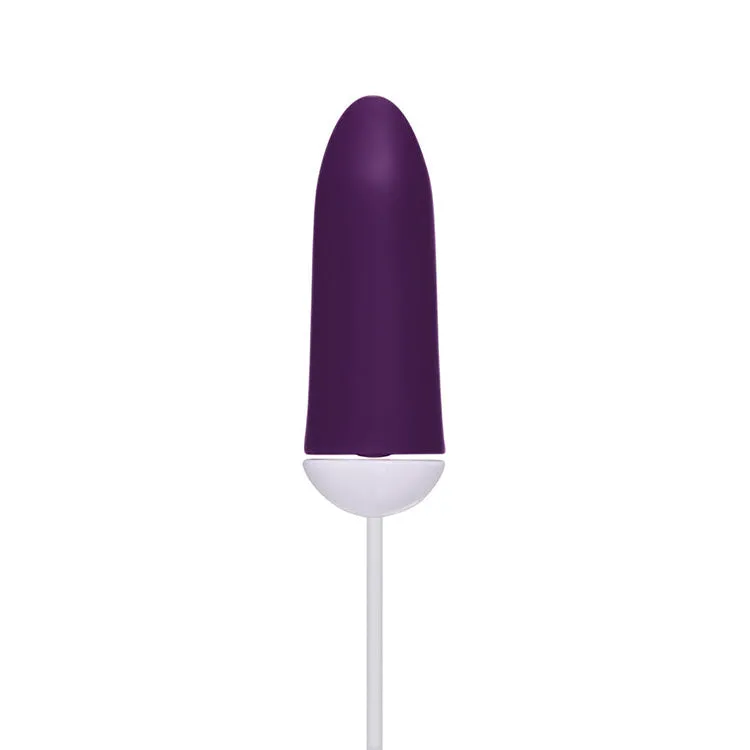 Lovers Just the Tip Vibrator Kit